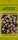 Astern Trobador Soft Rose