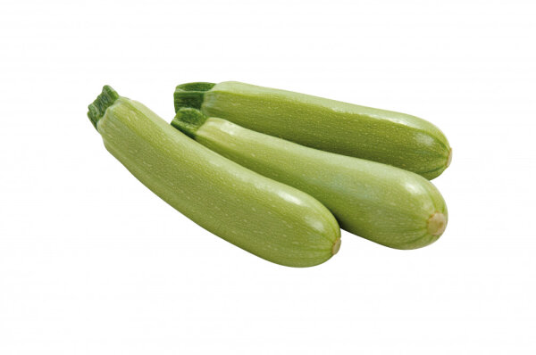 Zucchini Isolde F1