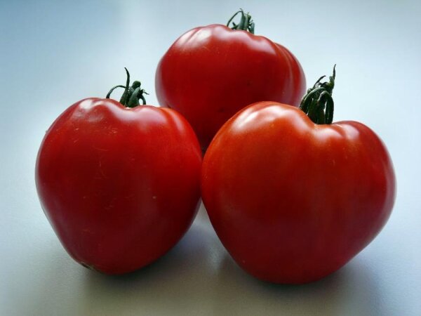 Tomate Quedlinburger Ochsenherz F1