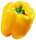 Gelber Paprika Satrapo F1