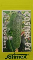 Einlegegurke Cosima F1