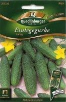 Einlegegurke Conny F1