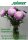 Balloon Harzaster XXL Appleblossom
